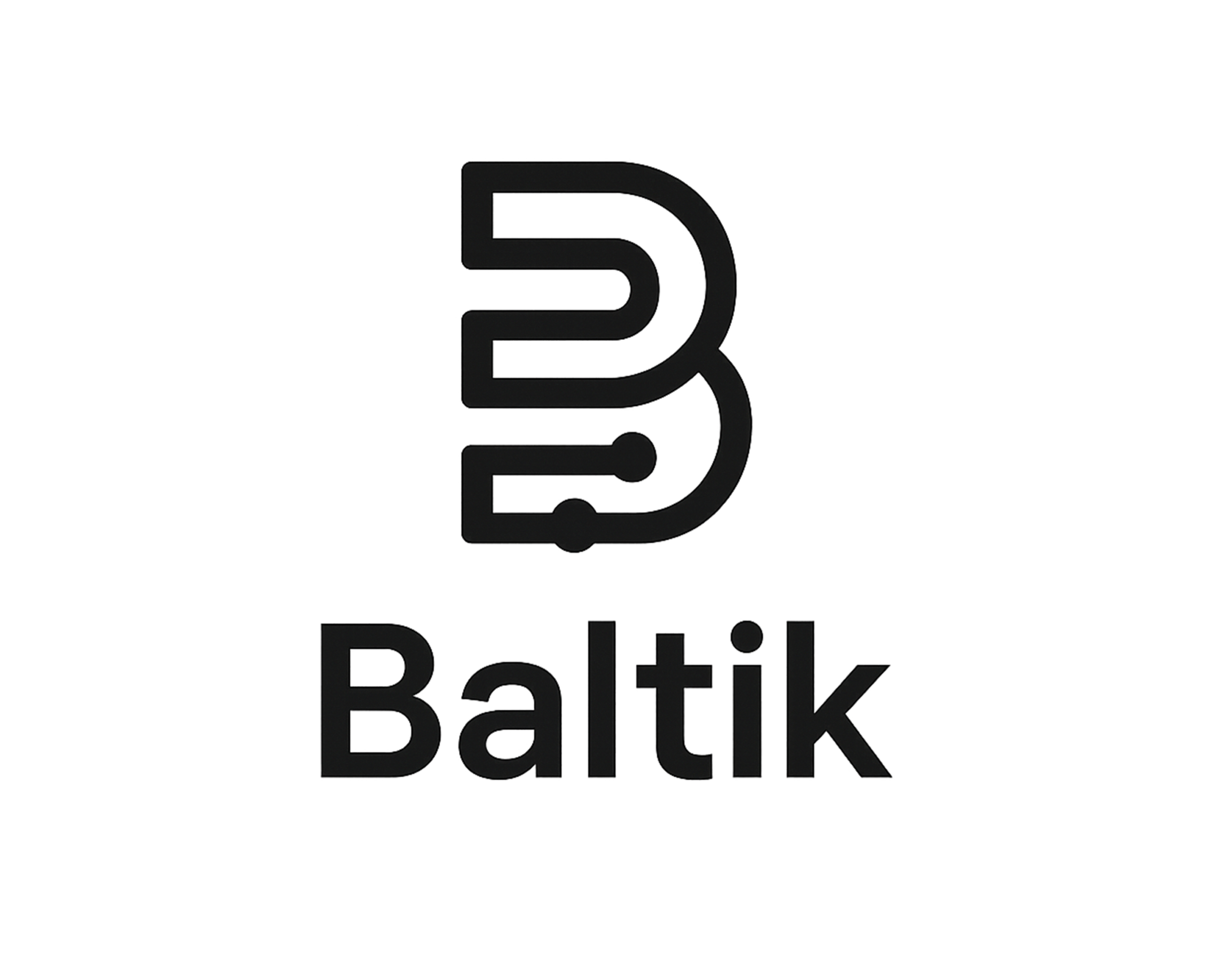 baltik shop
